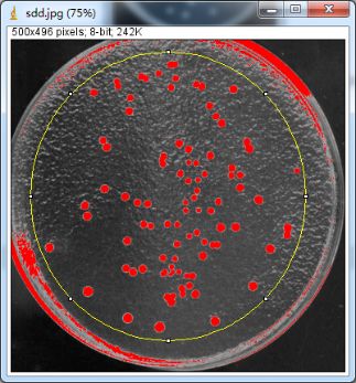 Unlocking Various Technical Skills in ImageJ