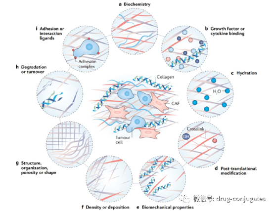 In-Depth Review of ADC Drug Development: History, Challenges, and Future Directions