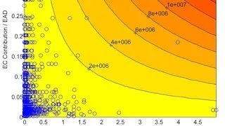 Using MATLAB for Risk Management