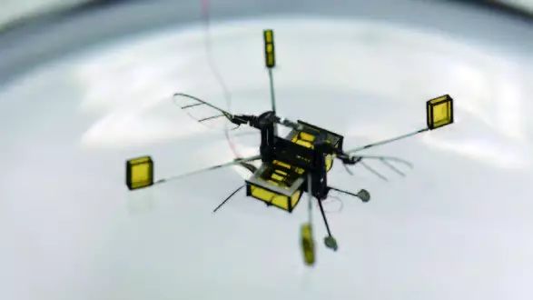 Robobee: The Bee Robot That Flies and Swims