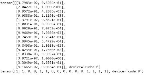 Building a Simple Cat-Dog Classifier with NVIDIA Jetson Nano