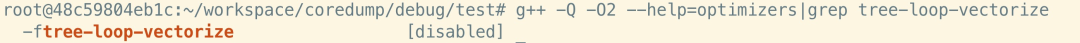 Exploring GCC Compilation Optimization Details from a Crash Issue