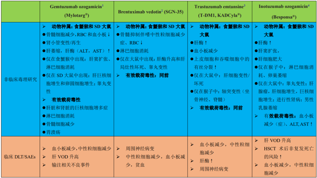 Overview of Non-Targeted Uptake and Toxicity Mechanisms of ADC Drugs