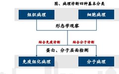 In-Depth Analysis of the IVD Pathological Diagnosis Industry Chain