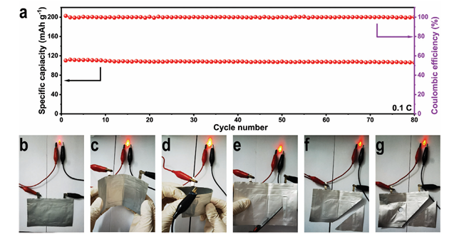 Star-Structured Polymer Electrolyte for Low-Temperature Lithium Batteries
