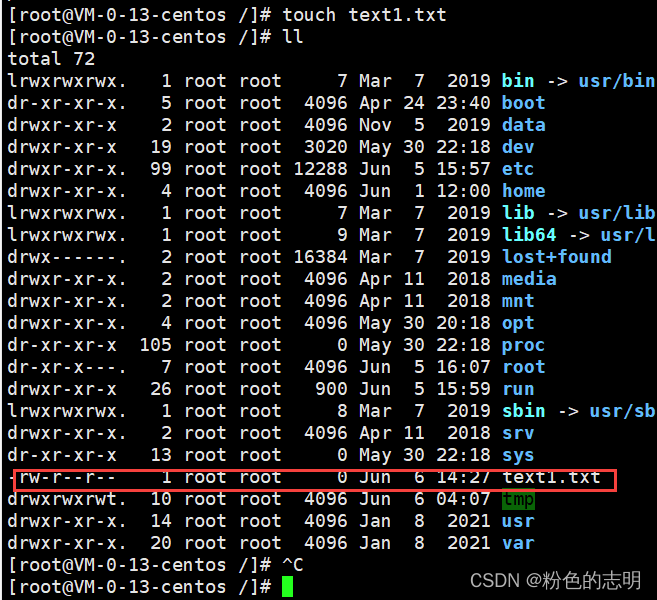 Common Linux Commands Explained