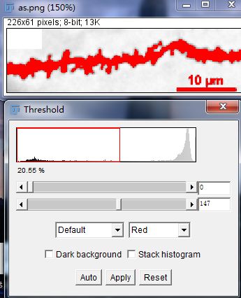 Unlocking Various Technical Skills in ImageJ