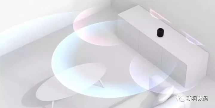 Evaluating Apple's Smart Speaker HomePod