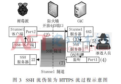 Covert Penetration Testing Methods Based on Raspberry Pi