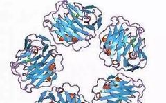 Differences Between C-Reactive Protein and High-Sensitivity C-Reactive Protein