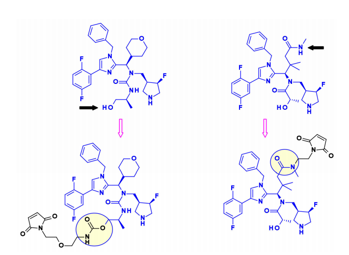 Overview of Antibody-Drug Conjugates (ADCs)