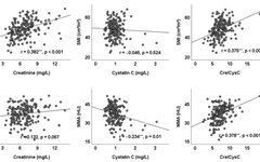Why Cystatin C Is Highly Regarded? Tips You Should Know
