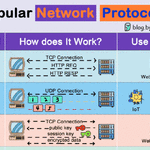 What Is a Network Protocol? Understanding Network Processes