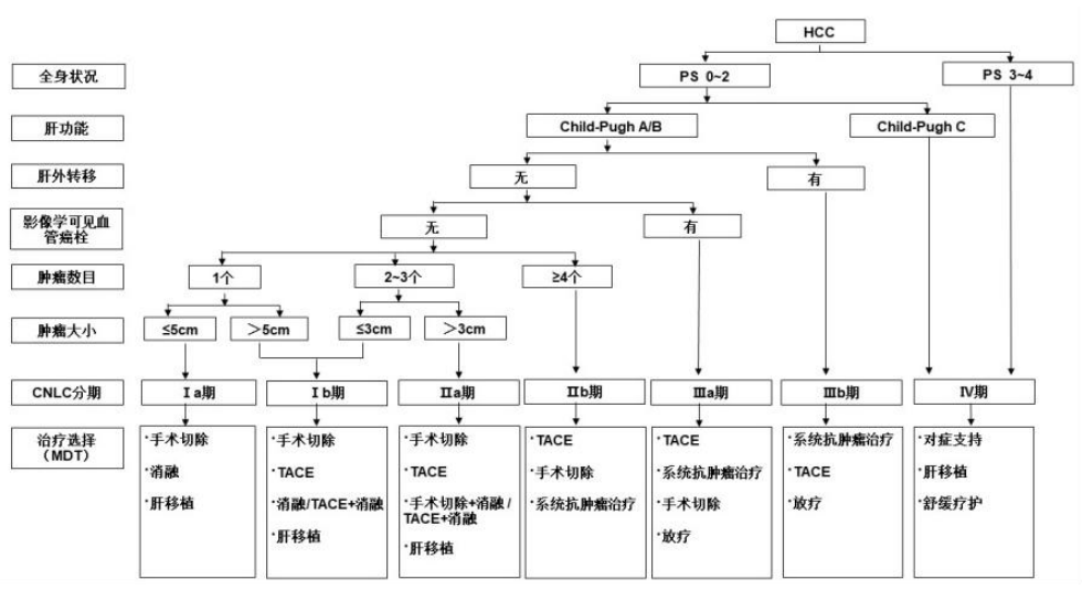 Pathological Diagnosis, Staging, and Classification of Liver Cancer