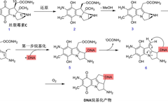 Exploring the Stories Behind ADC Payloads: Traditional Chemotherapeutics