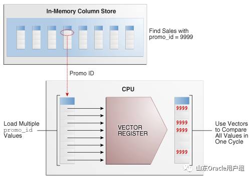 IM Architecture: CPU Architecture: SIMD Vector Processing (IM-2.3)