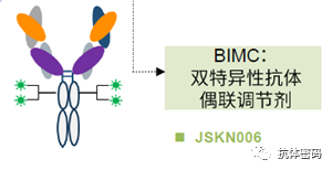 The Next Step for Bispecific Antibodies: Bispecific ADC?