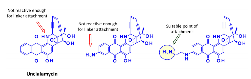 Overview of Antibody-Drug Conjugates (ADCs)