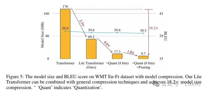 Efficient Transformer for TinyML: Long-Short Distance Attention