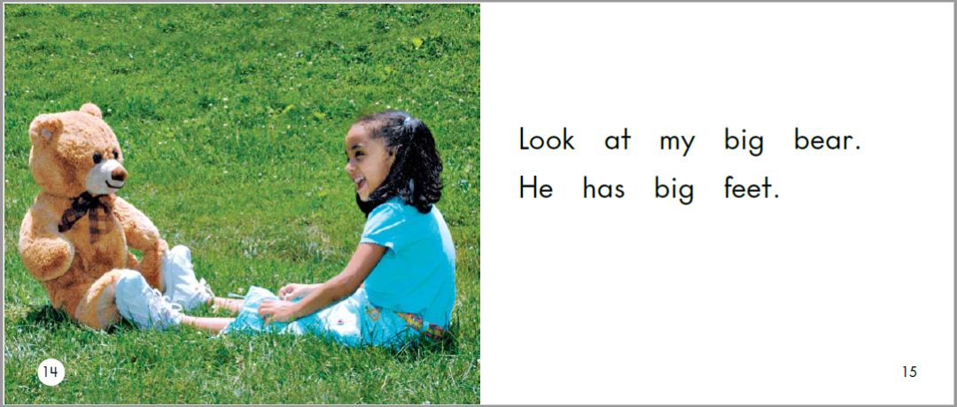 English Picture Book Stories | My Big Bear