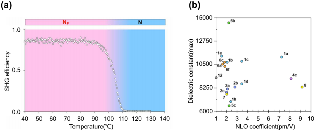 Research Progress on Ferroelectric Nematic Liquid Crystals