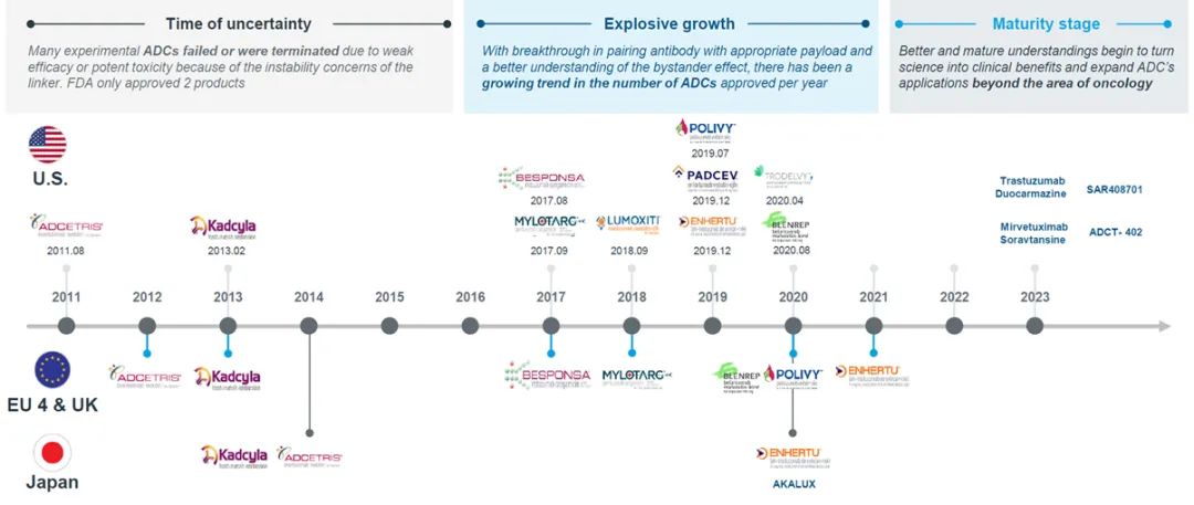 Innovative Delivery: Comprehensive Analysis of 'Magic Bullet' ADC Drug Screening