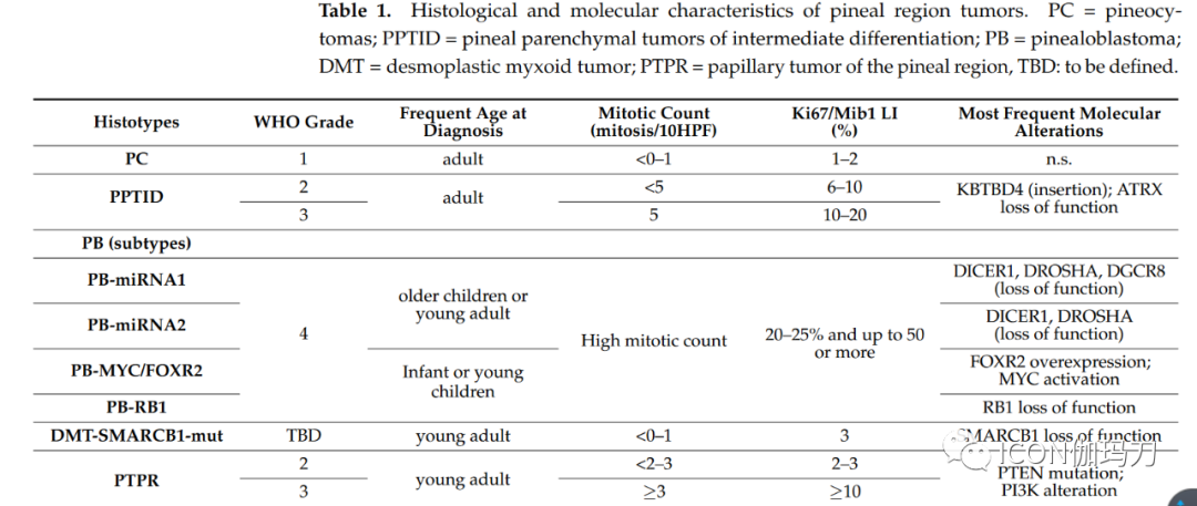 Diagnosis and Treatment of Pineal Region Tumors in Adults: A EURACAN Overview