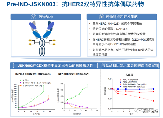 The Next Step for Bispecific Antibodies: Bispecific ADC?