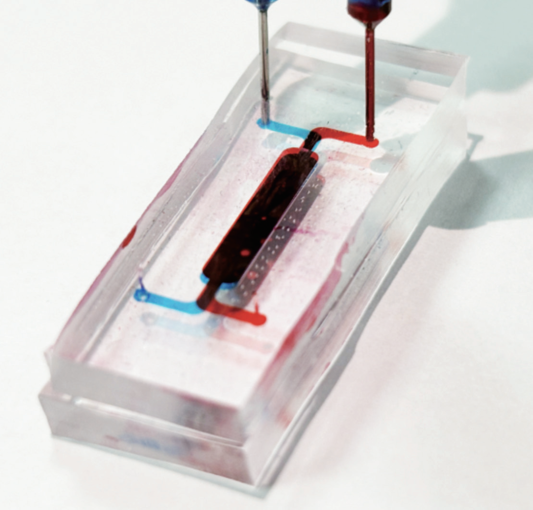 Laboratory on a Chip: Microfluidic Chips