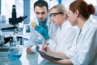 Comprehensive Review of Current Advances in Intrahepatic Cholangiocarcinoma Treatment