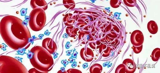 Understanding Protein C, Anti-Protein C Antibodies, CRP, Immunoglobulins, and Albumin