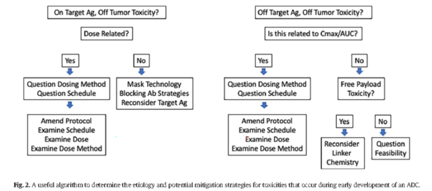 Experiences and Lessons in ADC Clinical Development