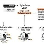 Potential Efficacy of High-Dose Vitamin C in Terminal Cancer Treatment