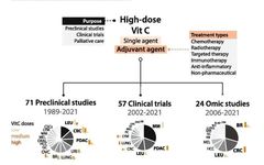 Potential Efficacy of High-Dose Vitamin C in Terminal Cancer Treatment