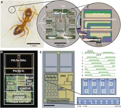 Smart Micro Robots With Electronic Brains For Autonomous Movement