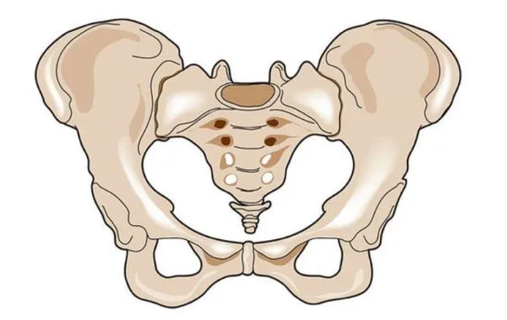 AI and Medical Imaging Fusion Modeling with 3D Printing for Precise Bone Tumor Resection