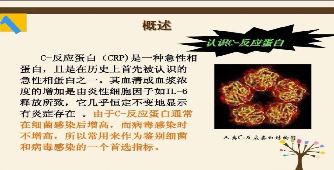Difference Between C-Reactive Protein and High-Sensitivity C-Reactive Protein