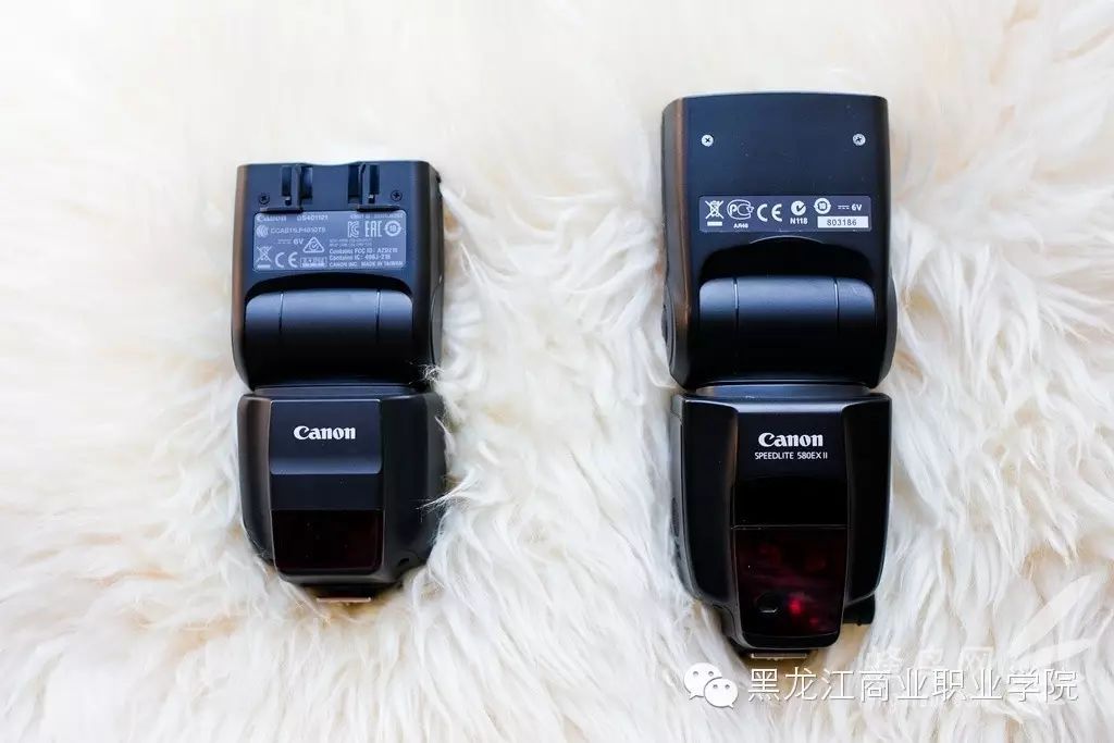 Beginner Tips for DSLR Cameras (Part Two)