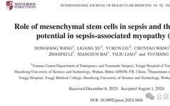 The Role of Mesenchymal Stem Cells in Sepsis and Their Therapeutic Potential in Sepsis-Related Myopathy