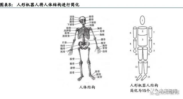 In-Depth Report on Humanoid Robot Industry: AI Rising, Mass Production Imminent