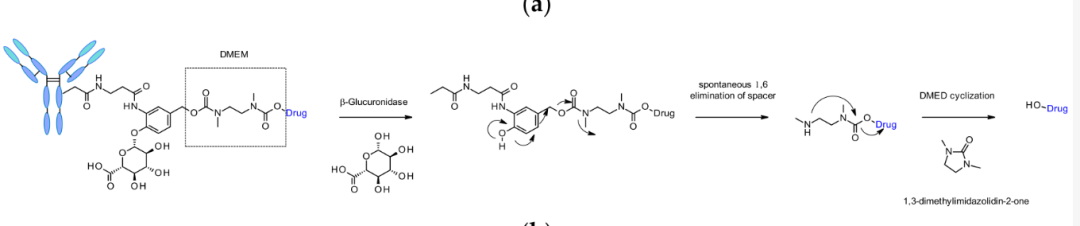 Overview of ADC Linker and Connector Technologies