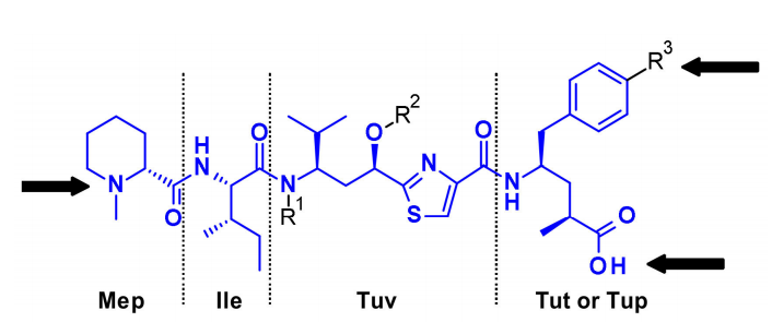 Overview of Antibody-Drug Conjugates (ADCs)