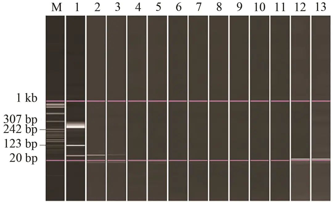 Establishment of Duplex RT-PCR Detection Method for Two Common Viruses in Tilapia