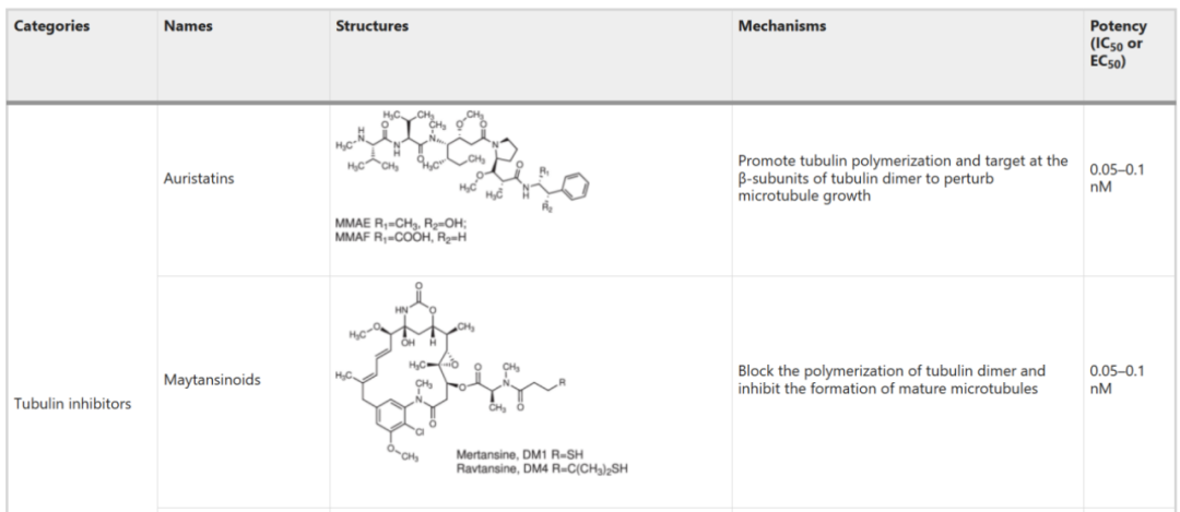 Choosing ADC Toxins: IC50, Mechanisms, and Clinical Insights