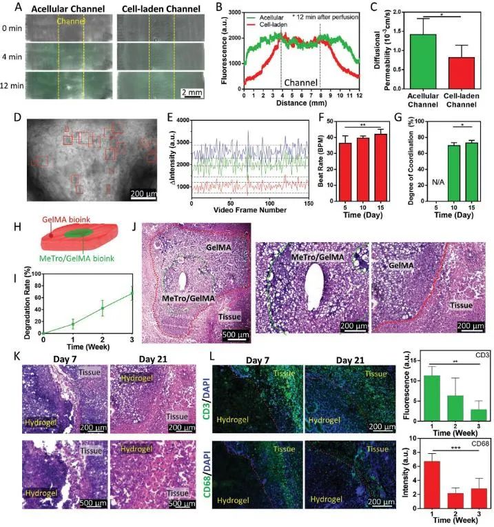 Bioprinting of Vascularized Tissues: A Comprehensive Review