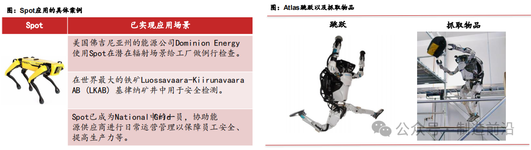 Comprehensive Analysis of Humanoid Robots