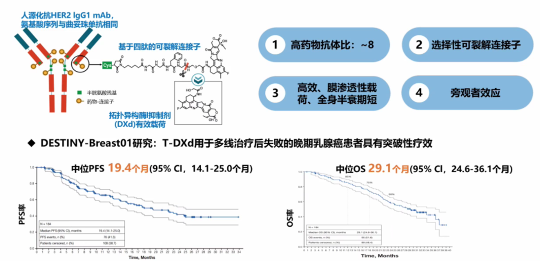 Current Status, Challenges, and Future of ADC Drug Development