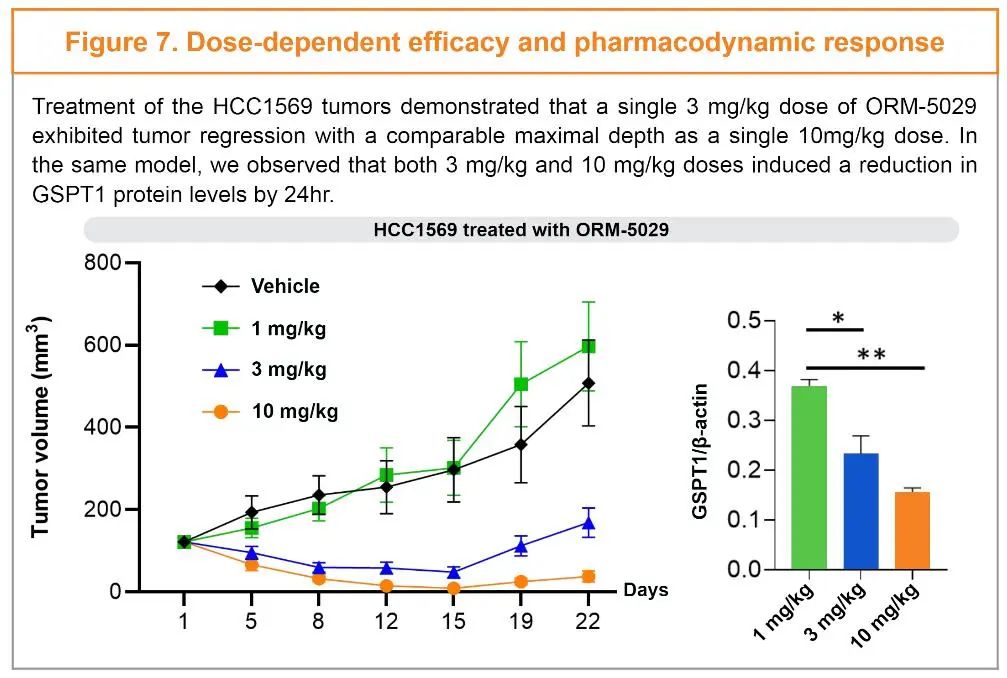 Degrader-Antibody Conjugates: Risks on the Path from Concept to Reality