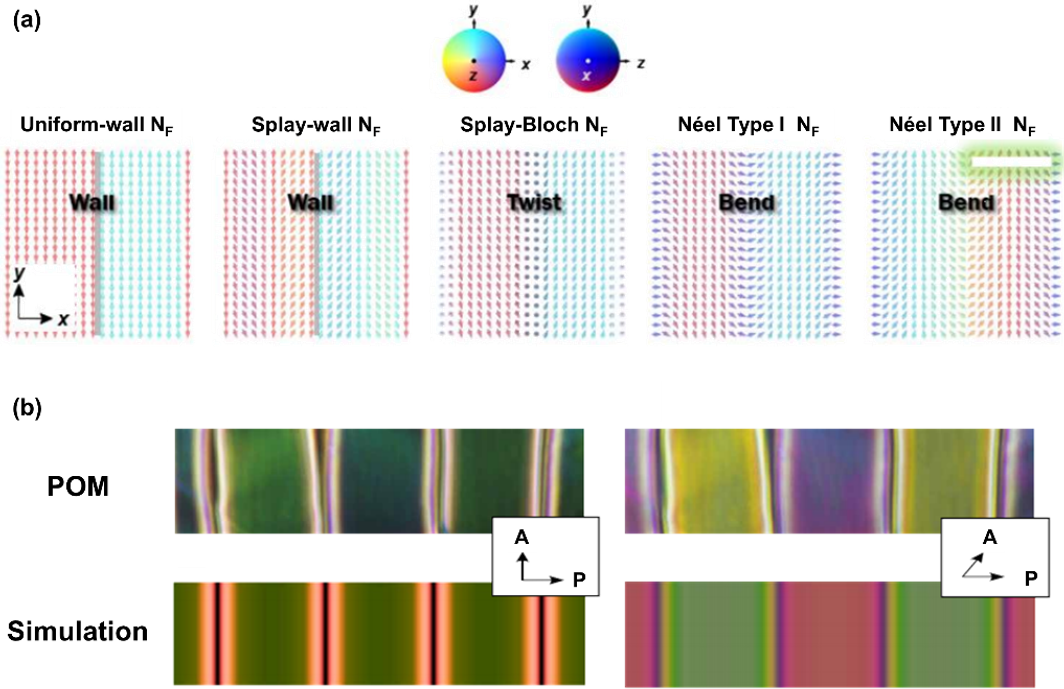 Research Progress on Ferroelectric Nematic Liquid Crystals
