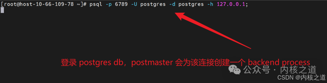 GDB Debugging Postgres Kernel (Postmaster + Backend + Client DQL/DML Handling)